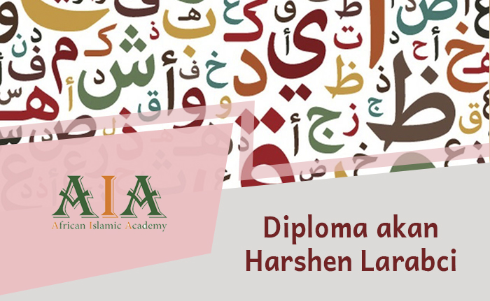 Diploma akan Harshen Larabci